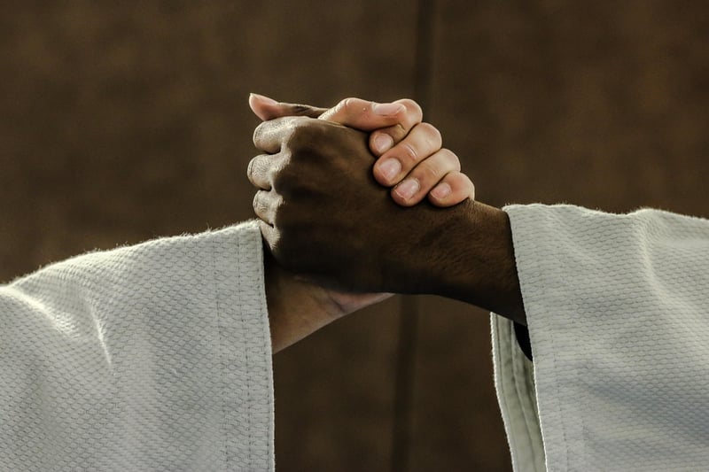 Judo Image